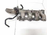 Ansaugkrümmer Nissan X-Trail, 2001.06 - 2007.06 nl0753,nl0753