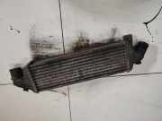 Ladeluftkühler Nissan Primera, P12 2002.01 - 2008.12 B9237, B9237 14461AW300