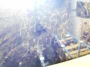 Spoiler hinten Jaguar X-Type, 2001.06 - 2007.11 4x43n44210afw, 4x43n44210-afw