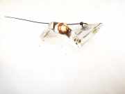 Türscharnier Vorne Peugeot Partner, I 2003.01 - 2009.06 facelift Gebraucht,