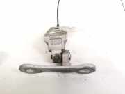 Türscharnier Vorne Opel Signum, 2003.05 - 2008.06 Gebraucht ,