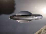 Türgriff Türaussengriff - Hinten Linke Renault Scenic, II 2003.06 - 2006.06 Gebraucht,