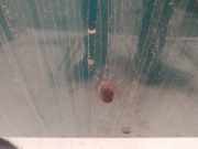 Waschwasserdüse Scheibenreinigung Mazda 323, 1994.01 - 1998.09 Gebraucht,