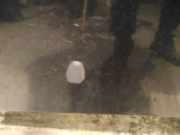 Waschwasserd?se Scheibenreinigung Volvo S60, 2000.01 - 2005.01 Gebraucht,