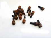 Radbolzen- Radmutter Peugeot 206, 1998.08 - 2002.07 Gebraucht,