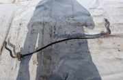 Stabilisator Stabi Hinten Hinterachse Audi A4, B7 2004.11 - 2008.06 Gebraucht,