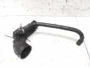 Schlauch für Luftversorgung Fiat Doblo, 2000.03 - 2005.10 40759190,