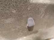 Waschwasserd?se Scheibenreinigung Volvo S40, 2004.01 - 2007.03 Gebraucht,