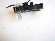 Lampenträger Heckleuchte - Hinten Renault Laguna, I 1994.01 - 2001.03 Gebraucht,