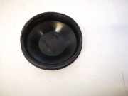 Blende Scheinwerfer - Vorne Nissan Primera, P12 2002.01 - 2008.12 205079C2,20-5079-C2