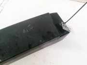 Zierleiste Leiste - Vorne Rechts Renault Scenic, II 2003.06 - 2006.06 8200139601, MP5469