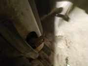 Türfangband Türbremse Türstopper - Hinten Rechts Nissan Primera, P11 1996.06 - 2001.12 Gebraucht,