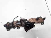 Abgaskrümmer Volkswagen Passat, B5+ 2000.11 - 2005.05 Gebraucht, BGW