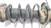 Fahrwerksfeder vorne Volkswagen Polo, IV 2001.09 - 2005.04 Gebraucht, AMF