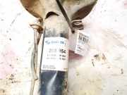 Stoßdämpfer - Vorne Rechts Volkswagen Golf, IV 1997.08 - 2003.10 200954, 131500200954 824903005253 BCB