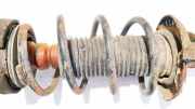 Fahrwerksfeder vorne Audi A3, 8P 2003.05 - 2005.06 Gebraucht,