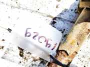 Stabilisator Stabi Hinten Hinterachse Volvo V50, 2004.04 - 2007.05 Gebraucht,