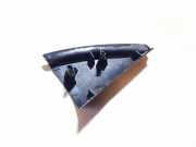 Innenausstattung Renault Laguna, II 2001.03 - 2006.05 8200000087, 28091