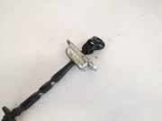 Türfangband Türbremse Türstopper - Hinten Rechts Honda Civic, 2006,01 - 2011.01 Gebraucht,