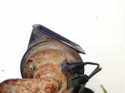 Hupe Fiat Ulysse, II 2002.06 - 2014.12 e30055306,