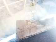 Seitenfenster Seitenscheibe - Lexus RX, 2000.07 - 2003.05 nsgm3k8, 43r-003021