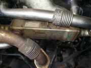 Abgaskühler AGR-Kühler Ford Galaxy, Mk I 2000.04 - 2006.04 facelift 038131513L,