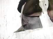 Radhausschale - Vorne Linke Skoda Octavia, II 2004.02 - 2009.03 Gebraucht,