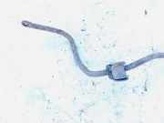 Stabilisator Stabi Hinten Hinterachse Volvo S80, 1998.05 - 2004.06 Gebraucht,