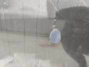 Waschwasserdüse Scheibenreinigung Peugeot 206, 2002.07 - 2009.01 facelift Gebraucht,