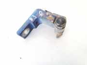 T?rscharnier Hinten Volkswagen Golf, IV 1997.08 - 2003.10 Gebraucht, BCB