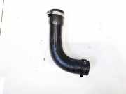 Intercooler Schlauch Renault Scenic, I 1999.09 - 2003.06 facelift 52079980,52079980