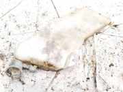 Scheibenwaschbeh?lter Vorne Wischwasserbeh?lter Peugeot 206, 2002.07 - 2009.01 facelift 9628747480,