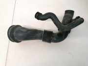 Schlauch für Luftversorgung Ford Galaxy, Mk III 2006.04 - 2010.06 4616125988,6g91-9c623-df
