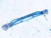 Sto?stangentr?ger hinten Toyota Aygo, 2005.07 - 2009.12 Gebraucht,