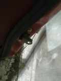 Türfangband Türbremse Türstopper - Vorne Rechts Nissan Micra, K12 2003.01 - 2007.06 Gebraucht,