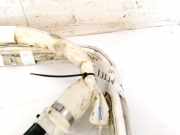 Kopfairbag - Vorne Linke Renault Megane, II 2002.11 - 2006.06 8200148465D,