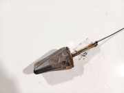 Türfangband Türbremse Türstopper - Vorne Rechts Volkswagen Golf, II 1983.08 - 1992.07 Gebraucht,