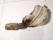 Scheibenwaschbehälter Vorne Wischwasserbehälter Dodge Caliber, 2006.08 - 2009.01 05303789, 88200