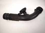 Schlauch für Luftversorgung Renault Scenic, II 2003.06 - 2006.06 8200218988,