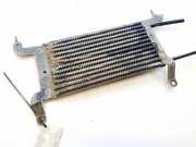Kraftstoffkühler Kraftstoff Kühler Peugeot 307, 2005.06 - 2008.06 Gebraucht,