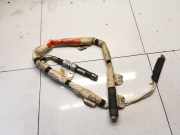 Kopfairbag - Vorne Linke Nissan Navara, II D40 2005.07 - 2010.02 603021100d,