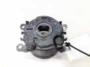 Nebelscheinwerfer - Vorne Rechts Renault Scenic, II 2003.06 - 2006.06 Gebraucht ,