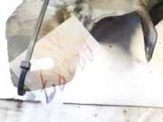 Scheibenwaschbehälter Vorne Wischwasserbehälter Citroen C5, I 2004.08 - 2008.02 facelift 9647995780, 98153100g