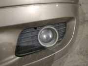 Kühlergrill - Vorne Linke Mercedes-Benz A-CLASS, W169, 2004.09 - 2008.09 Gebraucht,