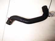 Kühlerschlauch Citroen C8, I 2002.07 - 2008.06 Gebraucht,