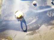 Fensterheber - Vorne Rechts Volkswagen Passat, B6 2005.08 - 2010.11 3c1837756g, BKP