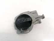 T?rinnengriff - Hinten Rechts Citroen C3, I 2002.02 - 2005.06 9647164477,9647164377