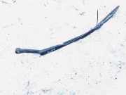 Windschutzscheibe Scheibenwischer Audi 80, B3 1986.06 - 1991.09 893955407e,