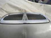 Kühlergrill Frontgrill Kühlergitter Rover 45, 2000.02 - 2005.05 pilkas,
