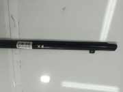 Zierleiste Leiste - Vorne Linke Subaru Legacy, BL, BP 2003.09 - 2009.12 Gebraucht,